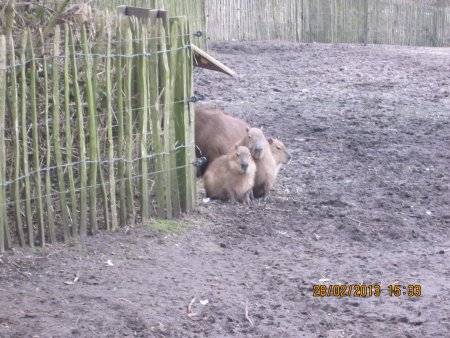 033-IMG_2287.JPG.medium.jpeg