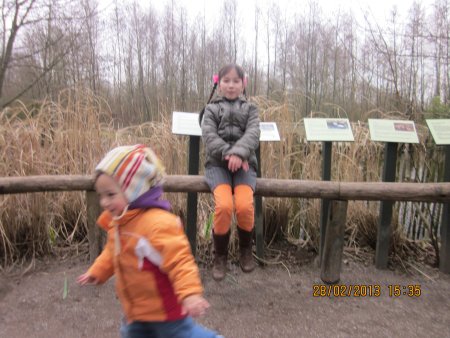 038-IMG_2292.JPG.medium.jpeg