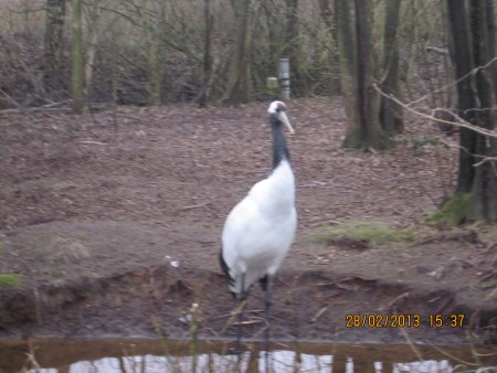 039-IMG_2293.JPG.medium.jpeg