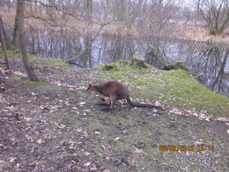 040-IMG_2294.JPG.medium.jpeg