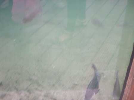 023-IMG_3097.JPG.medium.jpeg