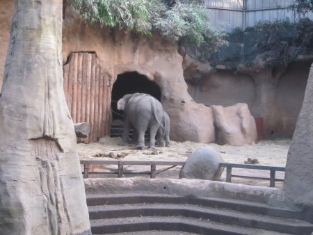 050-IMG_3127.JPG.medium.jpeg