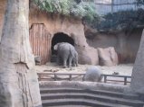 050-IMG_3127.JPG.small.jpeg