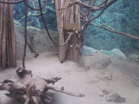 051-IMG_3128.JPG.medium.jpeg