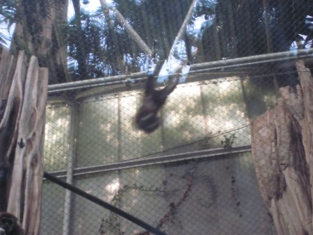 053-IMG_3130.JPG.medium.jpeg