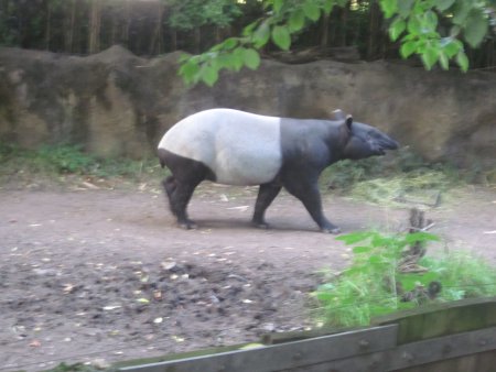 054-IMG_3131.JPG.medium.jpeg