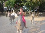 055-IMG_3132.JPG.small.jpeg