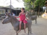 056-IMG_3133.JPG.small.jpeg