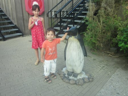 063-IMG_3140.JPG.medium.jpeg