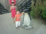 063-IMG_3140.JPG.small.jpeg