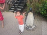 064-IMG_3141.JPG.small.jpeg
