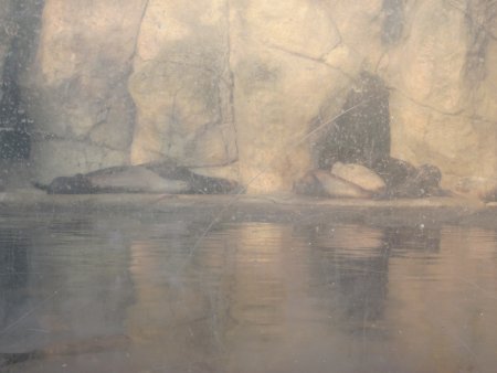 065-IMG_3142.JPG.medium.jpeg