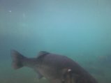 066-IMG_3143.JPG.small.jpeg
