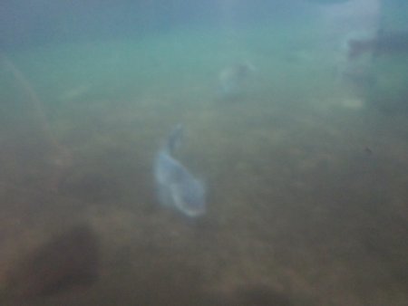 067-IMG_3144.JPG.medium.jpeg