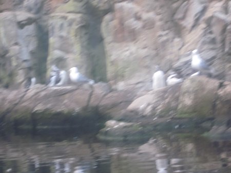 068-IMG_3145.JPG.medium.jpeg