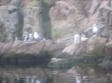 068-IMG_3145.JPG.small.jpeg