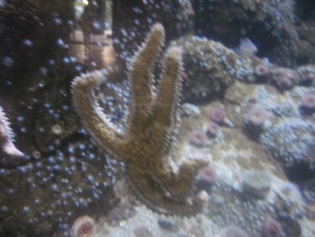 069-IMG_3146.JPG.medium.jpeg