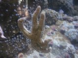 069-IMG_3146.JPG.small.jpeg