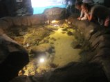 070-IMG_3147.JPG.small.jpeg