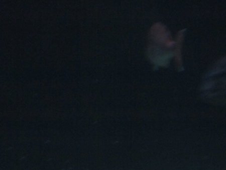 071-IMG_3148.JPG.medium.jpeg