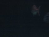 071-IMG_3148.JPG.small.jpeg