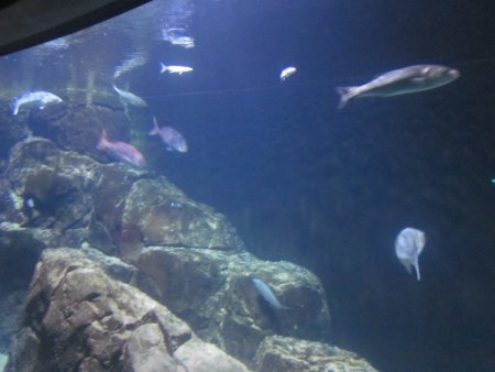 072-IMG_3149.JPG.medium.jpeg