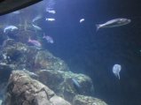072-IMG_3149.JPG.small.jpeg