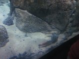 073-IMG_3150.JPG.small.jpeg