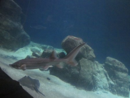 075-IMG_3152.JPG.medium.jpeg