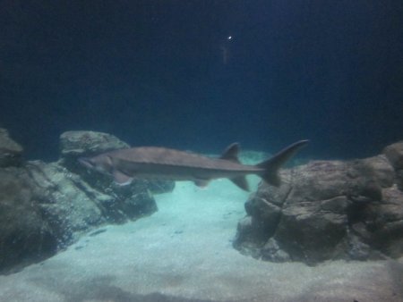 076-IMG_3153.JPG.medium.jpeg