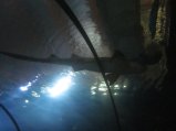 078-IMG_3155.JPG.small.jpeg