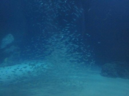 079-IMG_3156.JPG.medium.jpeg
