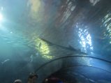 080-IMG_3157.JPG.small.jpeg