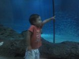 081-IMG_3158.JPG.small.jpeg