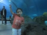 082-IMG_3159.JPG.small.jpeg
