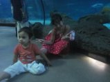 083-IMG_3160.JPG.small.jpeg