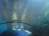085-IMG_3164.JPG.small.jpeg