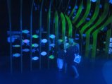 086-IMG_3165.JPG.small.jpeg