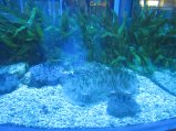 087-IMG_3166.JPG.small.jpeg