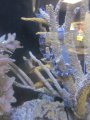 093-IMG_3172.JPG.small.jpeg