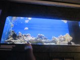 095-IMG_3174.JPG.small.jpeg