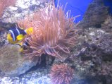 096-IMG_3175.JPG.small.jpeg