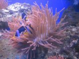 097-IMG_3176.JPG.small.jpeg