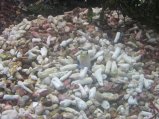 098-IMG_3177.JPG.small.jpeg