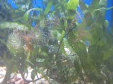 099-IMG_3178.JPG.small.jpeg