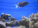 100-IMG_3179.JPG.small.jpeg