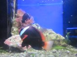 101-IMG_3180.JPG.small.jpeg