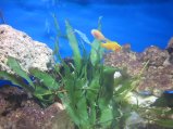 102-IMG_3181.JPG.small.jpeg