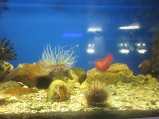 103-IMG_3182.JPG.small.jpeg
