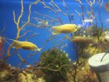 104-IMG_3183.JPG.small.jpeg